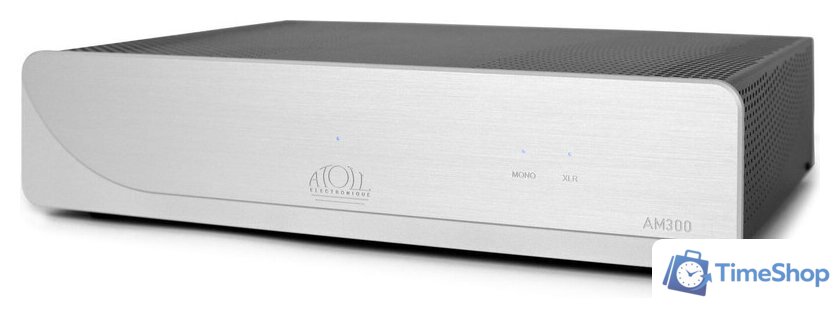 Усилитель мощности ATOLL AM300 (серебристый) - Изображение №2 — Интернет-магазин Time-Shop