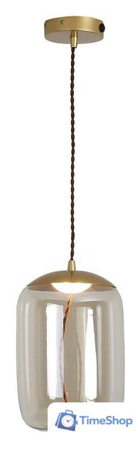 Подвесная люстра Lussole Loft Acquario LSP-8355 - Изображение №1 — Интернет-магазин Time-Shop