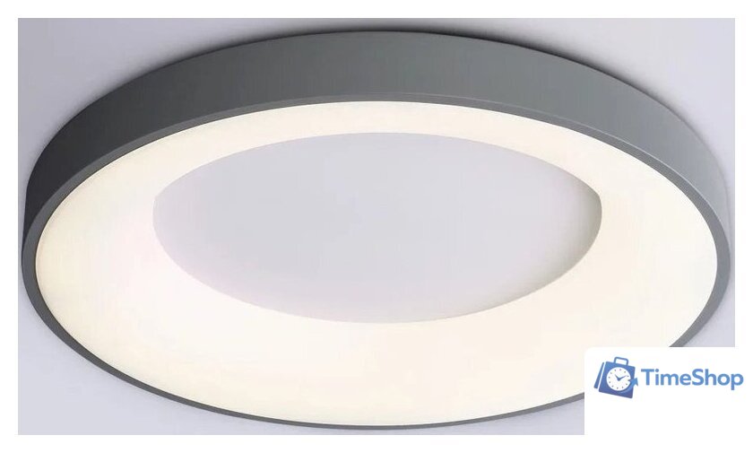 Припотолочная люстра Ambrella light Orbital FZ1402 GR (серый) - Изображение №1 — Интернет-магазин Time-Shop