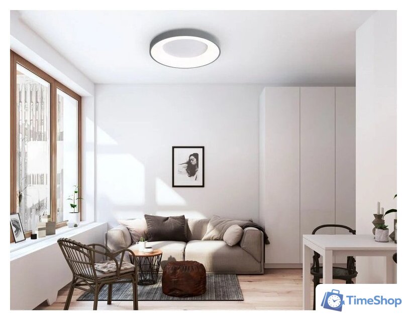 Припотолочная люстра Ambrella light Orbital FZ1402 GR (серый) - Изображение №7 — Интернет-магазин Time-Shop