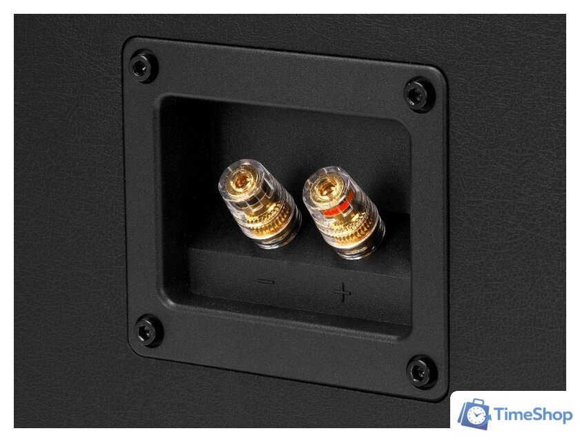 Полочная акустика Emotiva Airmotiv B1+ - Изображение №5 — Интернет-магазин Time-Shop