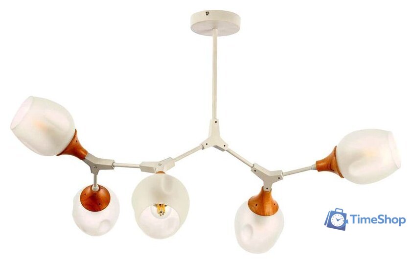 Люстра средней высоты Evoluce Ciotolla SLE113502-05 - Изображение №1 — Интернет-магазин Time-Shop