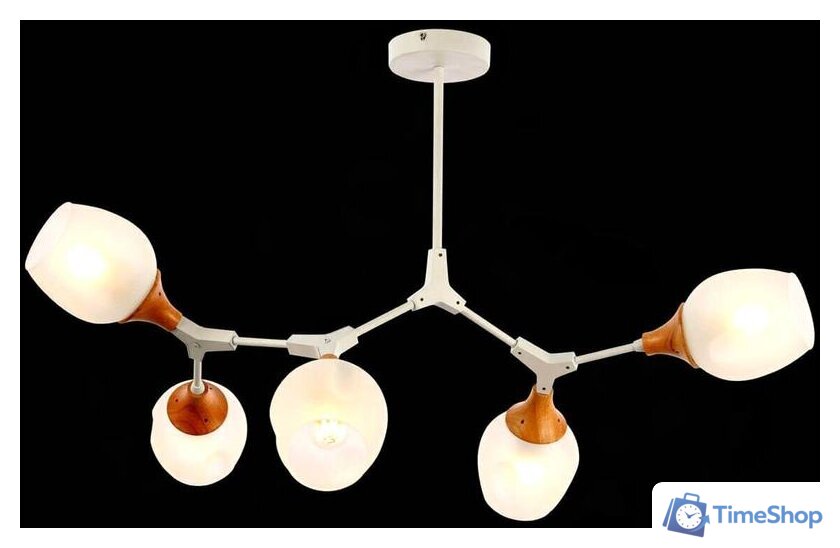 Люстра средней высоты Evoluce Ciotolla SLE113502-05 - Изображение №5 — Интернет-магазин Time-Shop