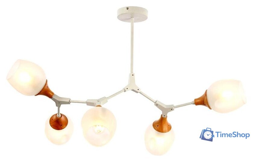 Люстра средней высоты Evoluce Ciotolla SLE113502-05 - Изображение №3 — Интернет-магазин Time-Shop