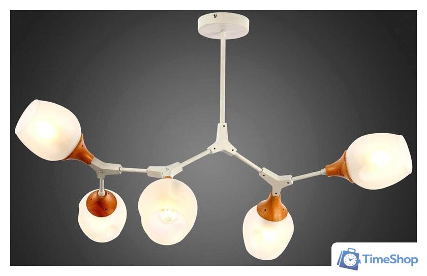 Люстра средней высоты Evoluce Ciotolla SLE113502-05 - Изображение №2 — Интернет-магазин Time-Shop