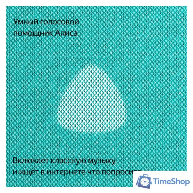 Умная колонка Яндекс Станция Макс (с хабом умного дома Zigbee, бирюзовый) - Изображение №9 — Интернет-магазин Time-Shop