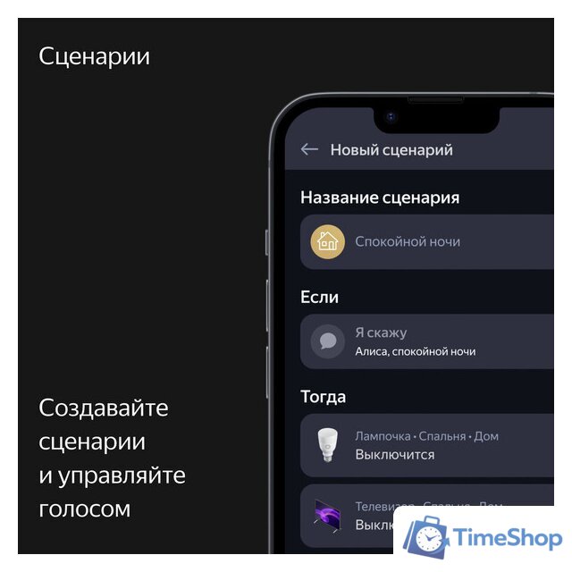 Умная колонка Яндекс Станция Макс (с хабом умного дома Zigbee, бирюзовый) - Изображение №13 — Интернет-магазин Time-Shop