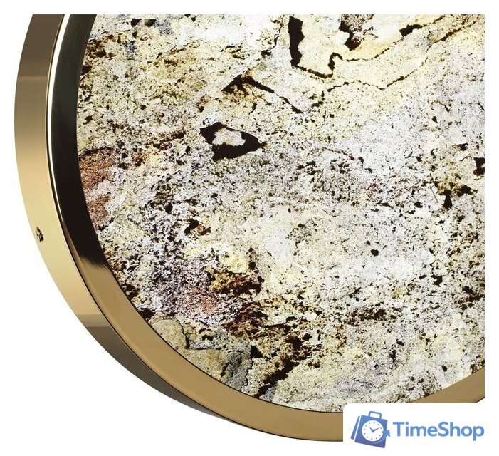 Бра Odeon Light Bergi 5079/24L - Изображение №4 — Интернет-магазин Time-Shop