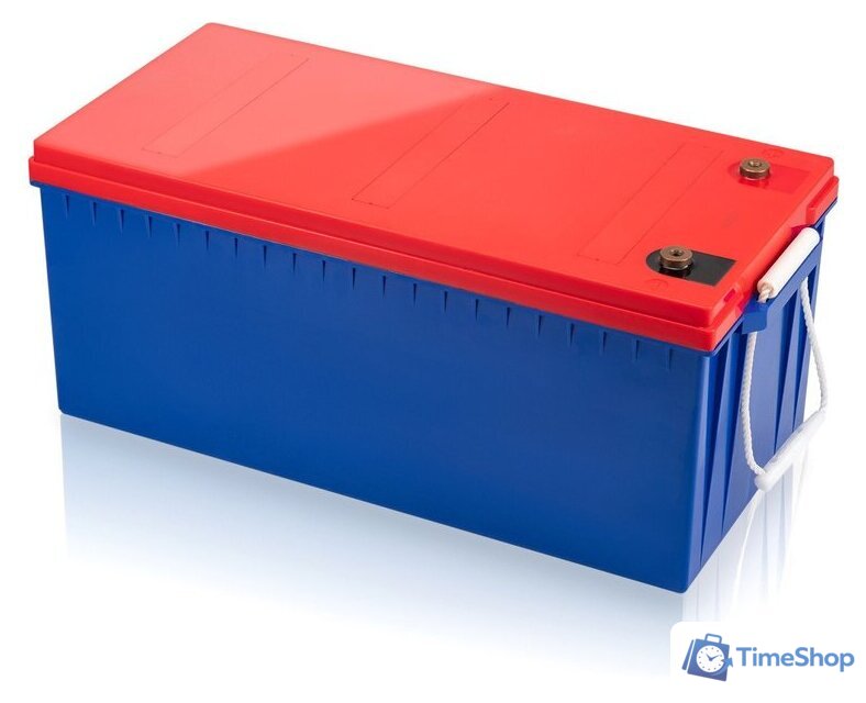 Аккумулятор для ИБП IPPON IP12-200 (12В/200 А·ч) - Изображение №2 — Интернет-магазин Time-Shop