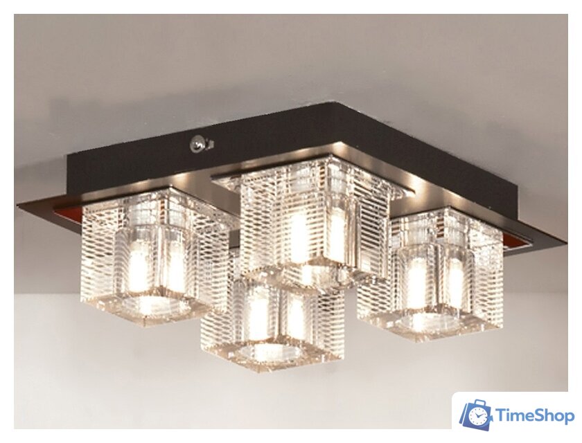 Люстра Lussole LSF-1307-04 - Изображение №1 — Интернет-магазин Time-Shop