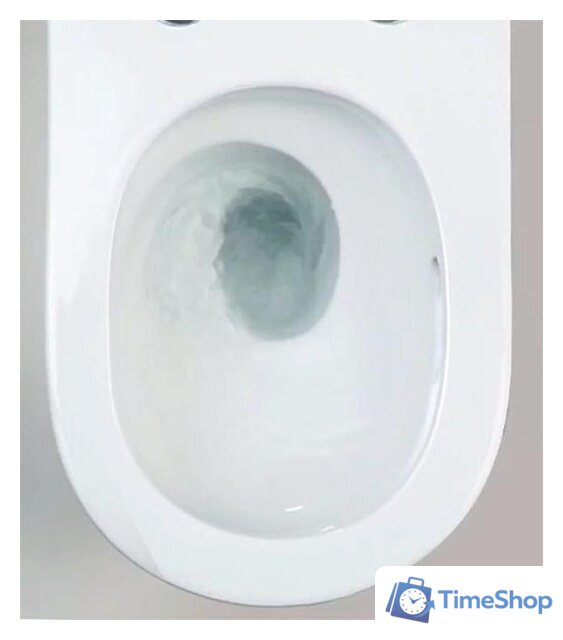 Унитаз подвесной Roxen Vortex в комплекте с инсталляцией StounFix Dual Fresh 6 в 1 968489 (кнопка: сатин) - Изображение №11 — Интернет-магазин Time-Shop