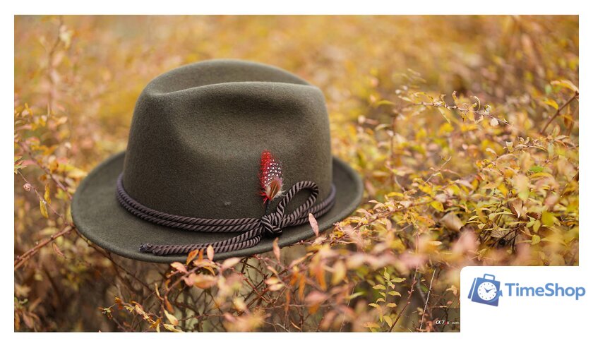 Объектив Sony FE 85mm F1.8 [SEL85F18] - Изображение №5 — Интернет-магазин Time-Shop