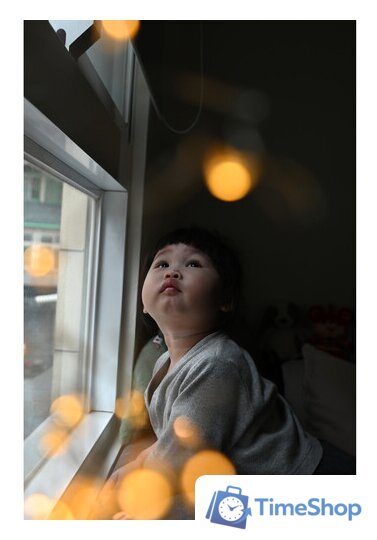 Объектив Nikon NIKKOR Z 28-75mm f/2.8 - Изображение №13 — Интернет-магазин Time-Shop