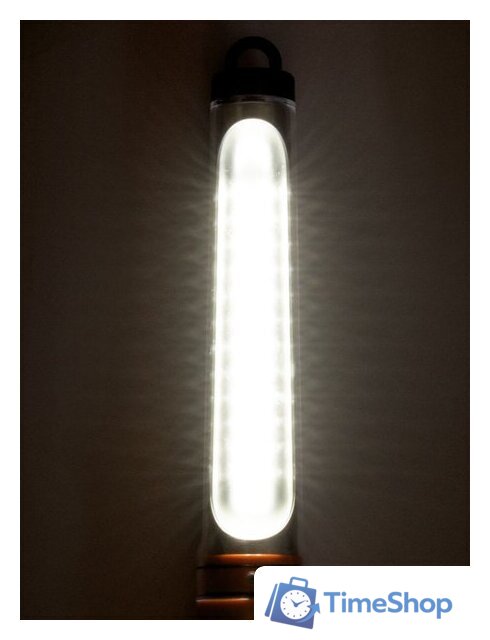 Светильник TDM Electric ФП12 SQ0306-0012 - Изображение №2 — Интернет-магазин Time-Shop
