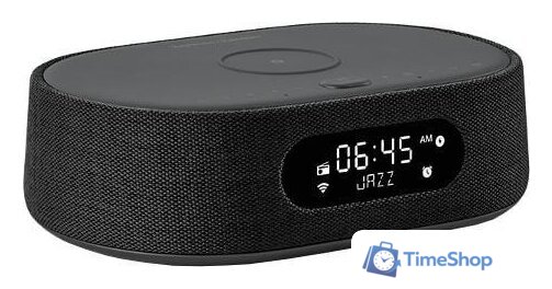 Умная колонка Harman/Kardon Citation Oasis (черный) - Изображение №1 — Интернет-магазин Time-Shop