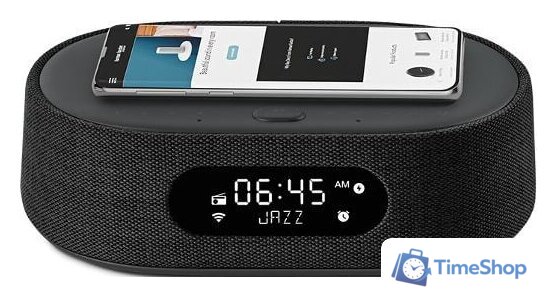 Умная колонка Harman/Kardon Citation Oasis (черный) - Изображение №4 — Интернет-магазин Time-Shop