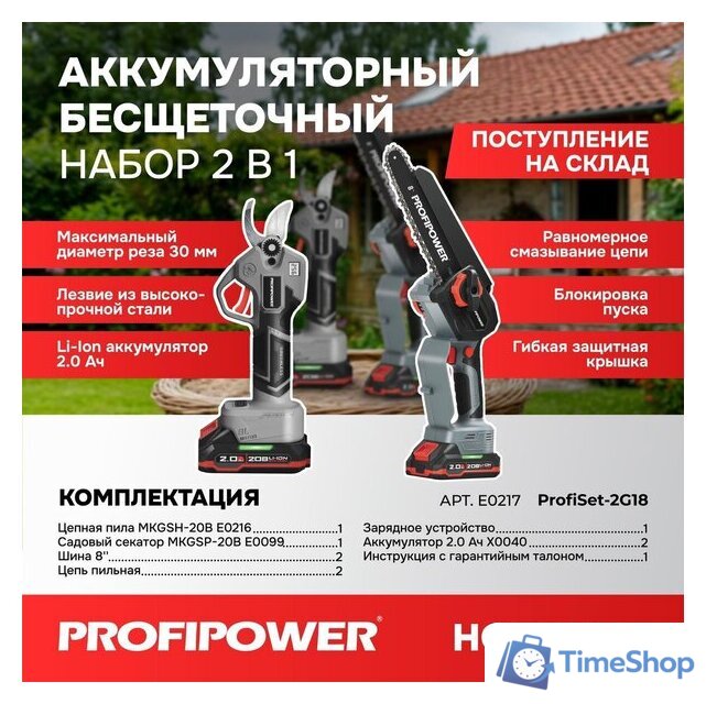  Profipower ProfiSet-2G20 E0217 (цепная пила, секатор, 2 АКБ) - Изображение №1 — Интернет-магазин Time-Shop