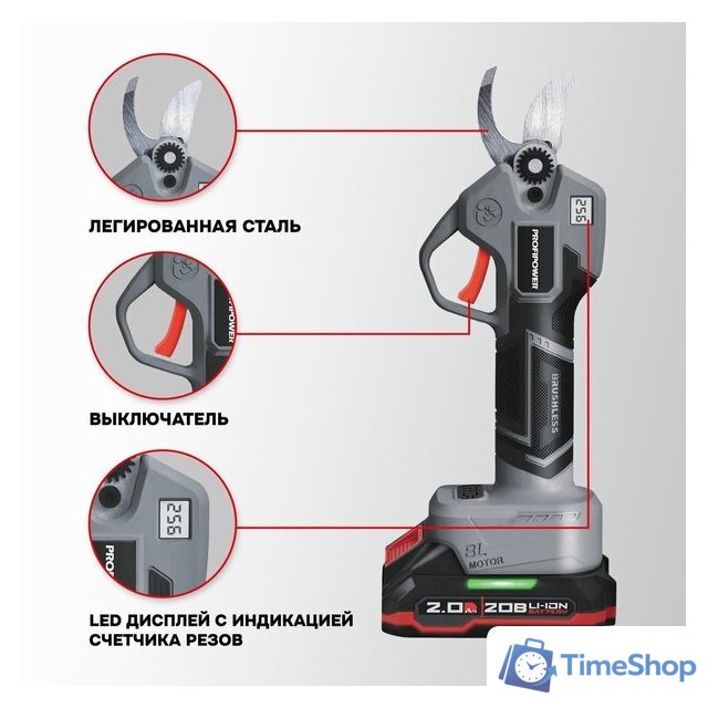  Profipower ProfiSet-2G20 E0217 (цепная пила, секатор, 2 АКБ) - Изображение №4 — Интернет-магазин Time-Shop