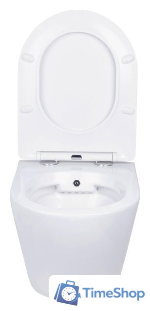 Унитаз подвесной Roxen Antares Bidet в комплекте с инсталляцией StounFix Dual Fresh 6 в 1 953833 (кнопка: белый глянец) - Изображение №8 — Интернет-магазин Time-Shop