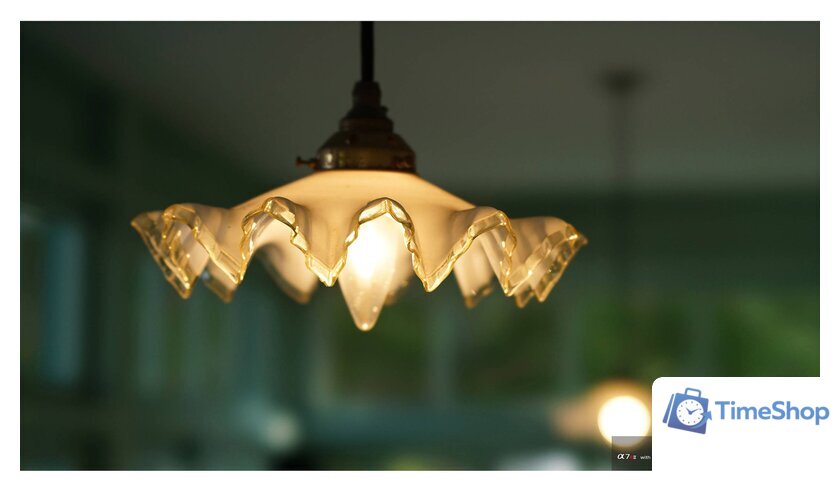 Объектив Sony FE 100mm F2.8 STF GM OSS [SEL100F28GM] - Изображение №10 — Интернет-магазин Time-Shop