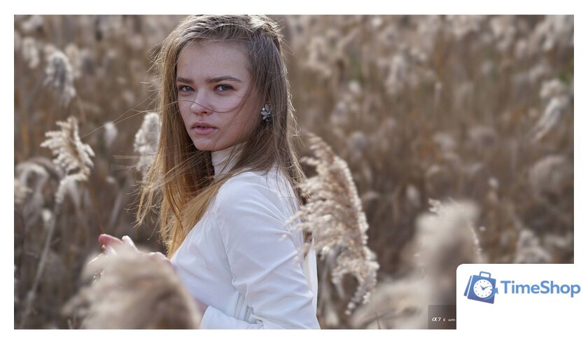 Объектив Sony FE 100mm F2.8 STF GM OSS [SEL100F28GM] - Изображение №11 — Интернет-магазин Time-Shop