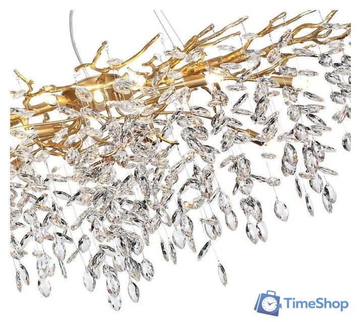 Подвесная люстра Odeon Light Delica 4969/14 - Изображение №3 — Интернет-магазин Time-Shop