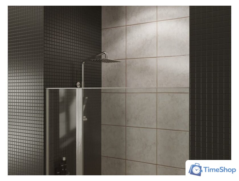 Душевая дверь Allen Brau Priority 3.31029.BA 294058 (серебро браш) - Изображение №13 — Интернет-магазин Time-Shop