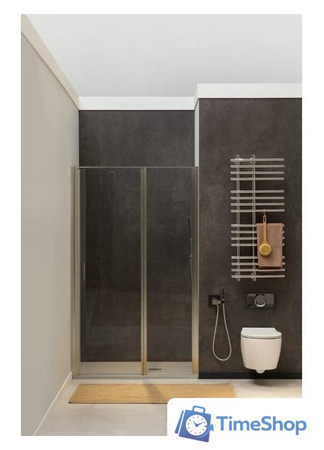 Душевая дверь Allen Brau Priority 3.31029.BA 294058 (серебро браш) - Изображение №3 — Интернет-магазин Time-Shop