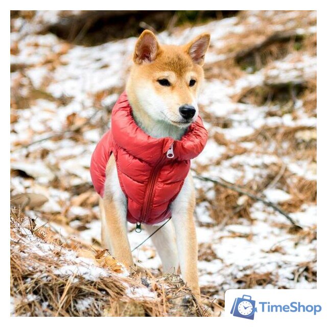 Жилетка для животных Puppia Ultra Light Vest A PAPD-JM1670-RD-S (красный) - Изображение №4 — Интернет-магазин Time-Shop