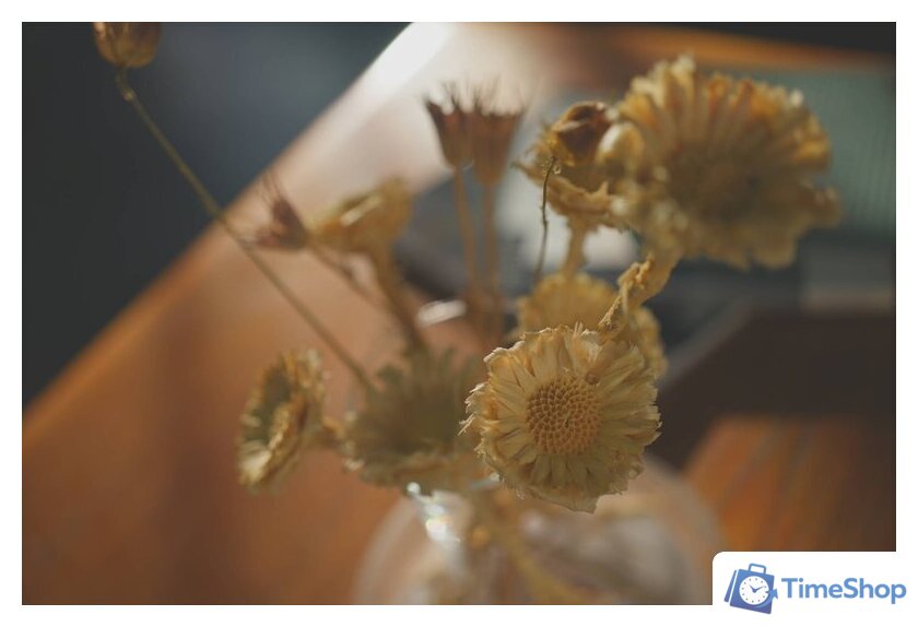 Беззеркальный фотоаппарат Sony Alpha a7C II Kit 28-60mm (черный) - Изображение №20 — Интернет-магазин Time-Shop