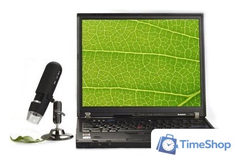 Микроскоп Levenhuk DTX 30 61020 - Изображение №10 — Интернет-магазин Time-Shop