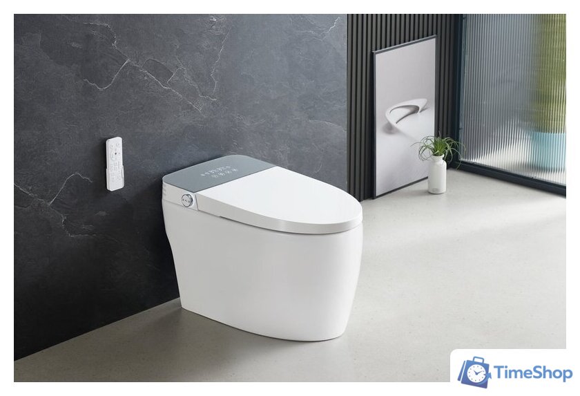 Унитаз приставной Roxen Smart Turbo 670300-02 - Изображение №1 — Интернет-магазин Time-Shop