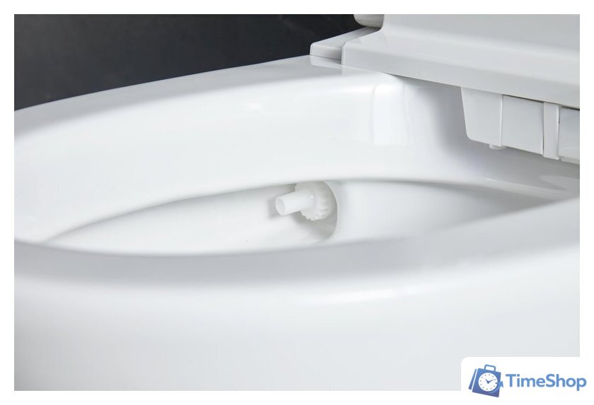 Унитаз приставной Roxen Smart Turbo 670300-02 - Изображение №7 — Интернет-магазин Time-Shop
