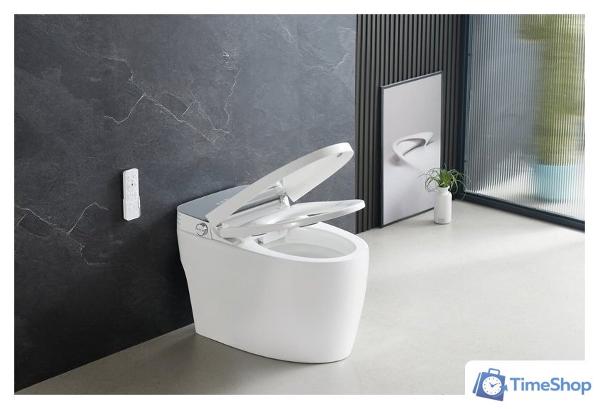 Унитаз приставной Roxen Smart Turbo 670300-02 - Изображение №2 — Интернет-магазин Time-Shop