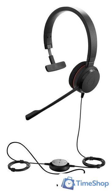 Офисная гарнитура Jabra Evolve 20 MS Mono USB-C/A - Изображение №1 — Интернет-магазин Time-Shop