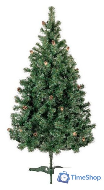 Ель Maxy Poland Русская с шишками 5751912 2 м - Изображение №1 — Интернет-магазин Time-Shop