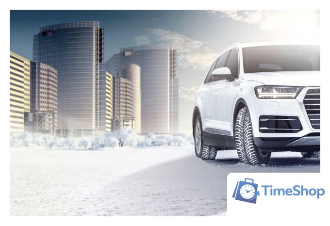 Зимние шины Nokian Tyres Hakkapeliitta 9 SUV 275/50R21 113T (шипы) - Изображение №4 — Интернет-магазин Time-Shop