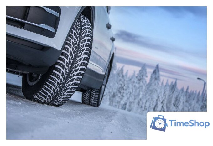 Зимние шины Nokian Tyres Hakkapeliitta 9 SUV 275/50R21 113T (шипы) - Изображение №3 — Интернет-магазин Time-Shop