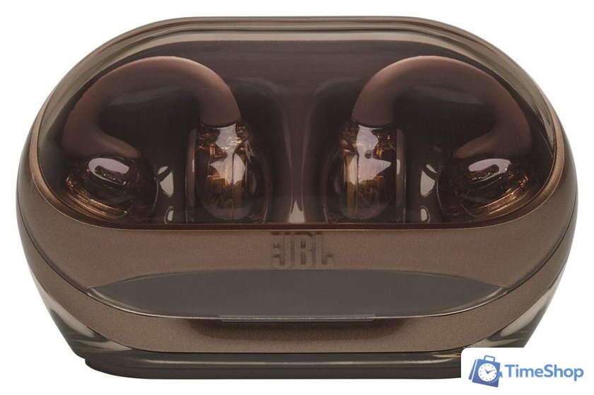 Наушники JBL Soundgear Clips (коричневый) - Изображение №3 — Интернет-магазин Time-Shop