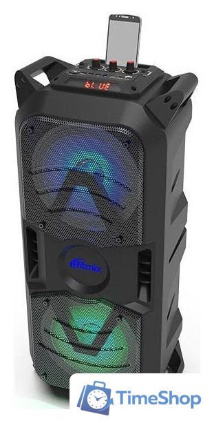 Патибокс Ritmix SP-850B - Изображение №3 — Интернет-магазин Time-Shop