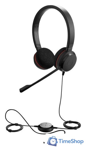 Офисная гарнитура Jabra Evolve 20 MS Stereo USB-C/A - Изображение №1 — Интернет-магазин Time-Shop