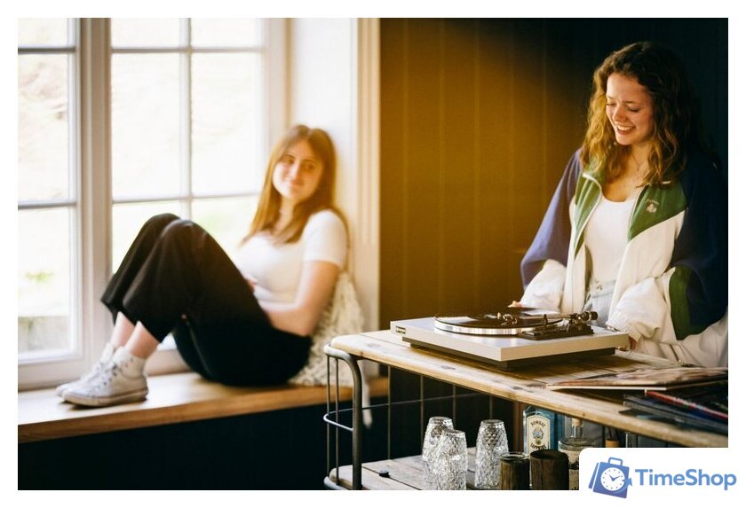 Виниловый проигрыватель Rekkord Audio F300 (AT91, коричневый) - Изображение №3 — Интернет-магазин Time-Shop