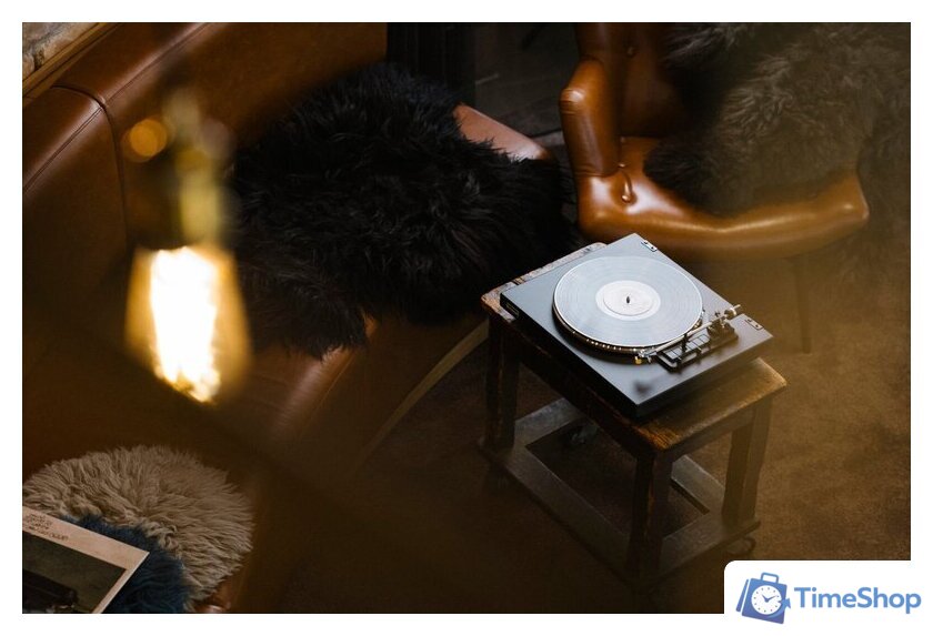 Виниловый проигрыватель Rekkord Audio F300 (AT91, коричневый) - Изображение №2 — Интернет-магазин Time-Shop