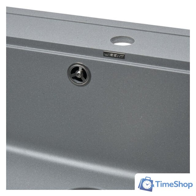 Кухонная мойка Wisent 600-29W (с сифоном GER013) - Изображение №4 — Интернет-магазин Time-Shop