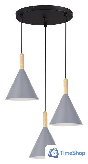 Подвесная люстра Evoluce SLE1255-433-03 - Изображение №1 — Интернет-магазин Time-Shop