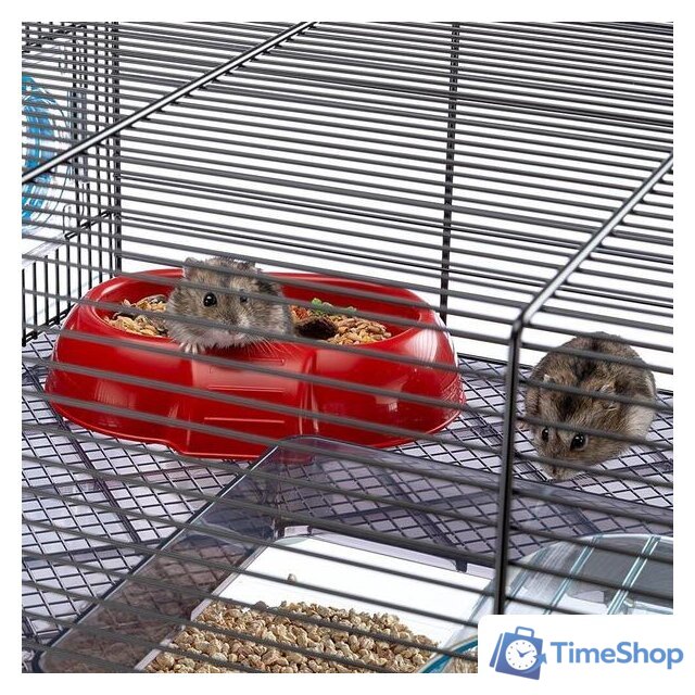 Клетка Ferplast Favola (прозрачный) 57901470 - Изображение №8 — Интернет-магазин Time-Shop