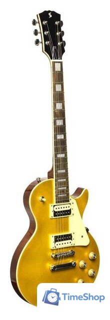 Электрогитара Stagg SEL-STD Gold - Изображение №2 — Интернет-магазин Time-Shop