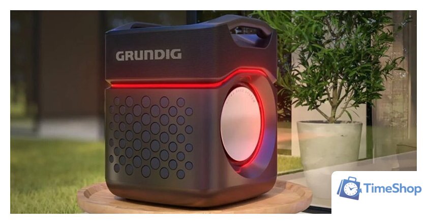 Беспроводная колонка Grundig PartyHit Max - Изображение №7 — Интернет-магазин Time-Shop
