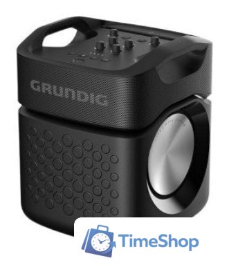 Беспроводная колонка Grundig PartyHit Max - Изображение №1 — Интернет-магазин Time-Shop