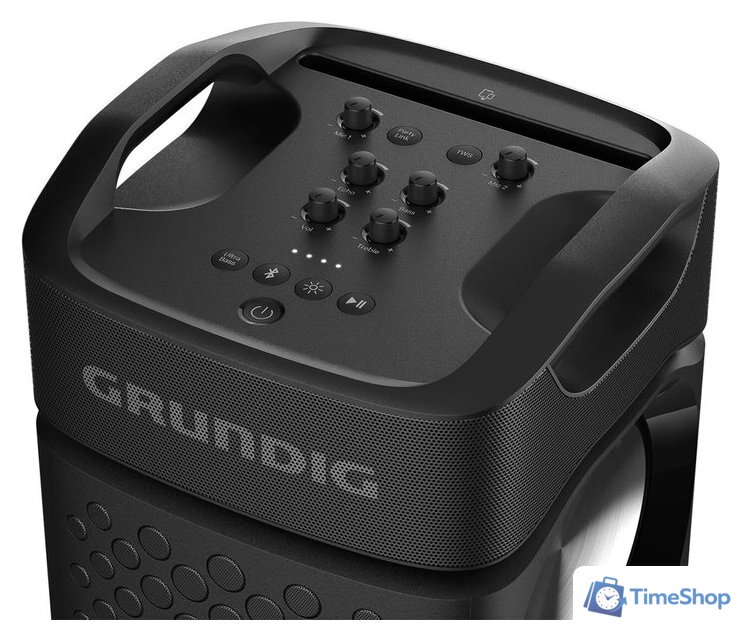 Беспроводная колонка Grundig PartyHit Max - Изображение №4 — Интернет-магазин Time-Shop
